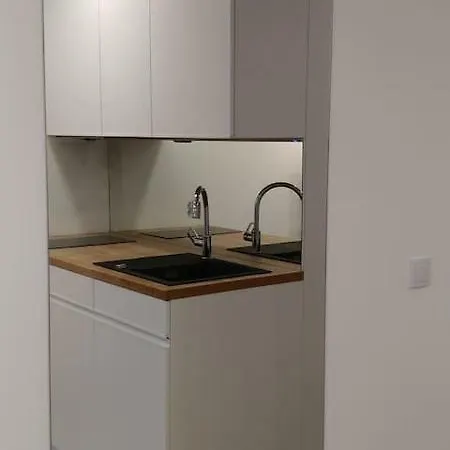 Komfortowy Apartament W Centrum Wroclawia *